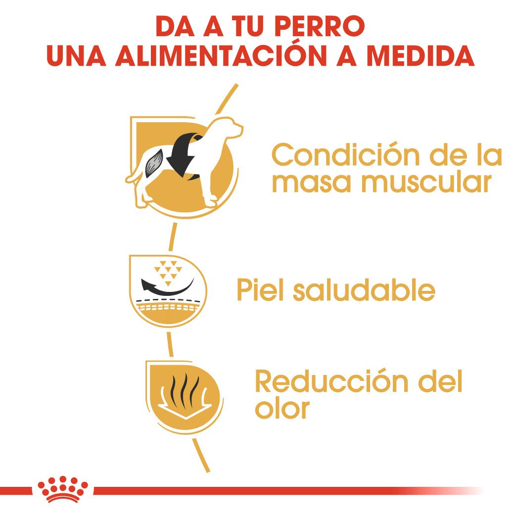 Galería